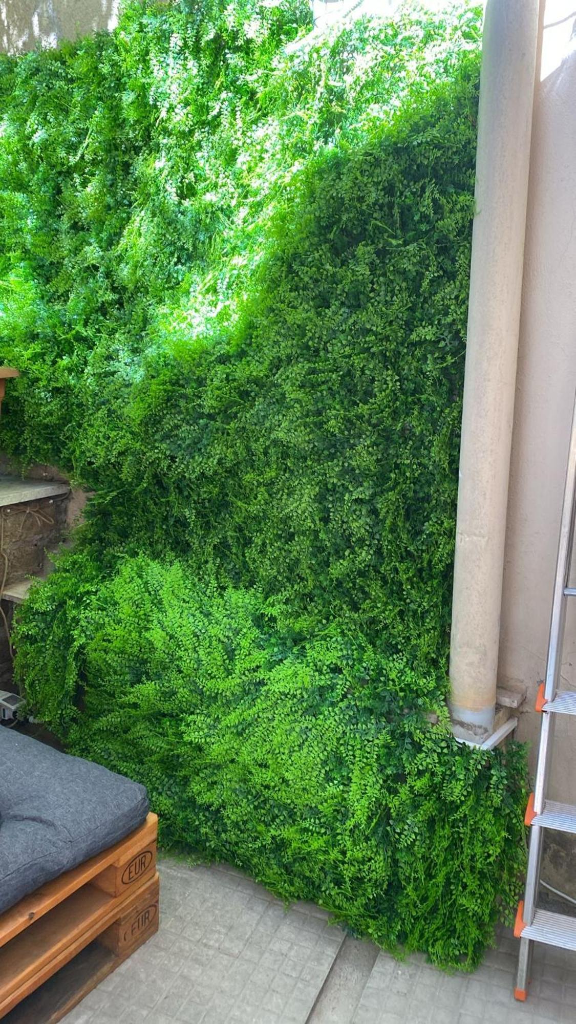 The Green House ローマ エクステリア 写真